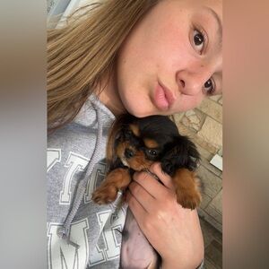 Meet your Posher, Kelley